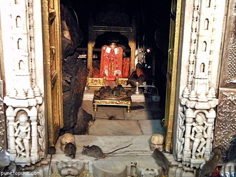 Karni Mata Temple of Rats
