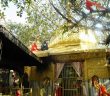 Chintpurni Temple_Himachal