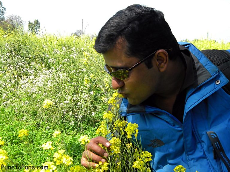 Punjab di Khushboo