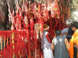 Holy Tree by the temple