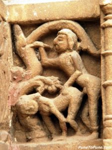 Doggy Style in the Garden