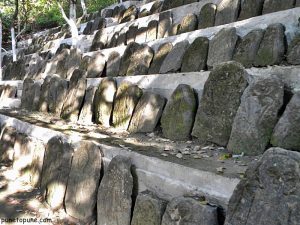 Snake idols at Baba Dhansar