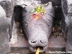 Nandi Mukha