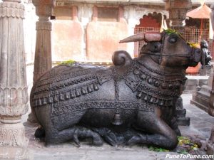 Nandi (side view)