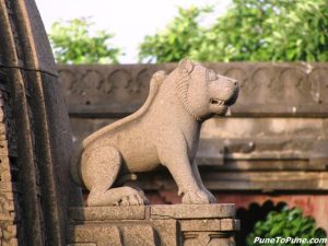 Lion on Shikar