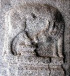 Cow feeding Shiva Linga